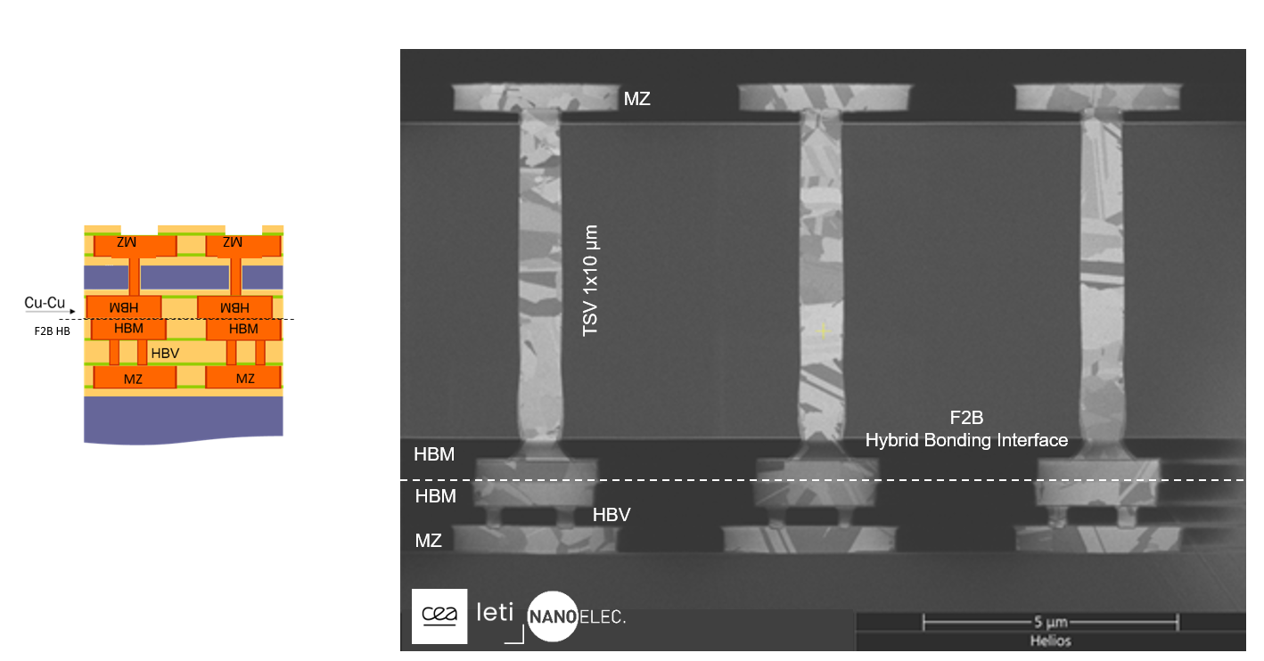 Figure 4: FIB-SEM cross-section of the 2L TV: the pitch is 6μm for the bonding pads; and the HD TSVs’ dimensions are 1×10μm. SOURCE: CEA-Leti
