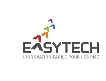 Robotique mobile : perception, contrôle, modélisation et validations terrain